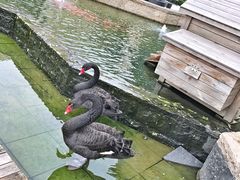 -行者书屋大堂吧 ·下午茶(南京圣和府邸酒店)