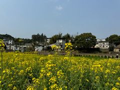 -新安江山水画廊风景区