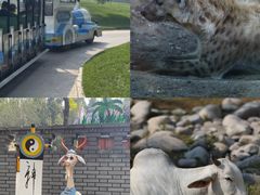 -北京野生动物园