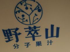 -野萃山·潮汕厚果汁(十亩地店)