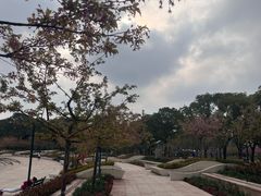 -新江湾城公园