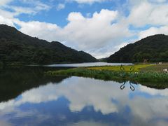 -广州市石门国家森林公园