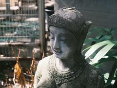 -谷咖啡·鲜花绿植花园餐厅