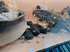 -喜上喜鸡煲翅(吉大店)