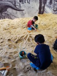 -恐龙探索乐园(磁器口店)