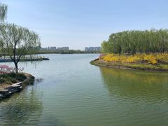 -大兴滨河森林公园