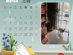 -精灵岛宠物生活馆(洪泽花园店)