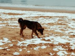 -青岛第三海水浴场