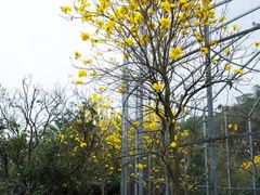 -南丹山森林王国