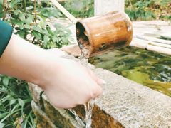 -天目湖山水园