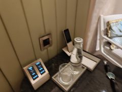 -新加坡文华东方酒店