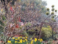 -无锡梅园公园