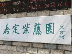 -嘉定紫藤园