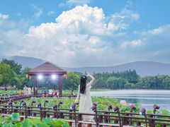 -尚湖风景区