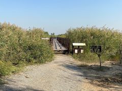 -西青郊野公园