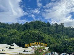 -西双版纳原始森林公园