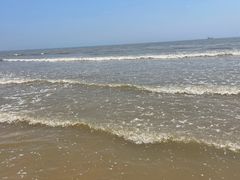 -日照海滨国家森林公园