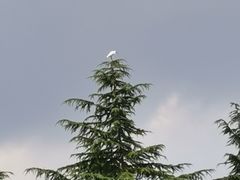 -白塘生态植物园