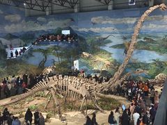 -自贡恐龙博物馆