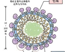 -上海交通大学医学院附属瑞金医院(总院)