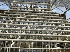 无土栽培植物-迪茵湖田家舍生态农场