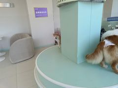 -怪兽屋·羊驼·猫咖·狗咖(俊华广场店)