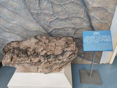 -延庆地质公园博物馆