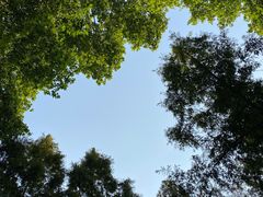 -河南省黄河迎宾馆