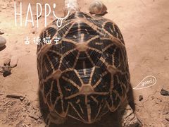 -济南野生动物世界