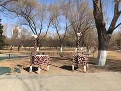 -莲花池公园