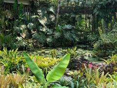 -中国科学院西双版纳热带植物园