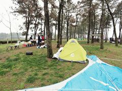 -游子山休闲旅游区