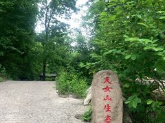 -天女山森林公园