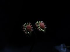 -湖南省地质博物馆