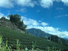 -优游吧斯邹族文化部落