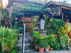 -Jungle Kitchen