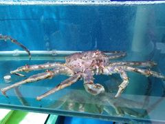 -福泉海码头(六里山店)