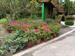 -东平国家森林公园