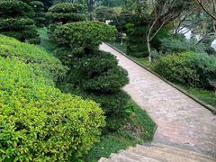 -南山植物园