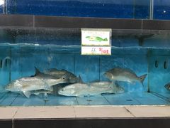 -钱大妈海鲜饭店(保利林语店)