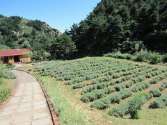 -云峰山自然风景区
