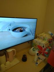 -海豚湾高端月子会所(黄浦店)