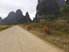 -钟山水墨田园