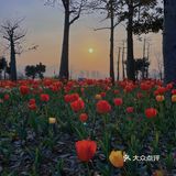 福州花海公园🍂不止郁金香还有‼️