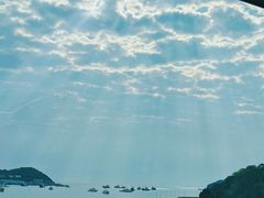 -洲晓鲜·舟山海鲜大排档(朱家尖风景区店)