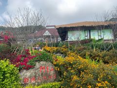 -优游吧斯邹族文化部落