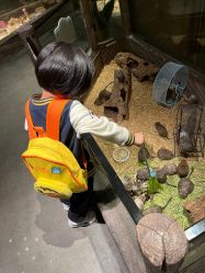 -造物庄园 萌宠纪(苏州湾歌林公园店)