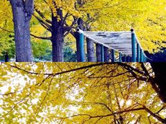 -辽宁大学(崇山校区)