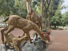 -泉州海丝野生动物世界