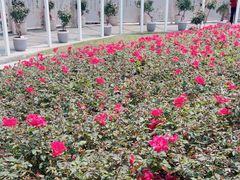 -人民公园(罗湖区)